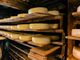 Al via la nona edizione della rassegna agroalimentare “Caseifici aperti”