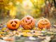 Halloween si avvicina: cosa fare in Canton Ticino nella notte più spaventosa dell'anno