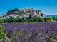 Grasse e la lavanda: una grande festa