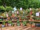 Il Festival des Jardins a Mentone dura sino al 1^ maggio