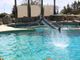 Marineland riaprirà i battenti l’11 giugno