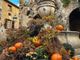 Da Saint Paul de Vence l’invito a festeggiare l’autunno