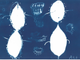 Monaco ospita la mostra  &quot;Regards d'ailleurs: Rhapsodie en bleu&quot;