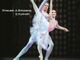 Il famoso Balletto &quot;Bianca Neve ed i Sette Nani&quot; a Mentone il 12 febbraio