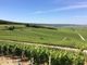 Il 16 settembre il patron della  Maison di Champagne Louis Roederer a Monaco per una masterclass tutta di Champagne