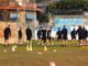 Calcio, Serie D. Grande attesa per Sanremese-Lucchese, Pino Fava analizza la super sfida: &quot;Bisogna scendere in campo con la stessa convinzione e determinazione fatto vedere in coppa&quot; (VIDEO)