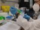 Coronavirus: tasso di positività in lieve calo ma aumentano ricoverati e terapie intensive, nessun morto