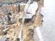 Maltempo sul Ponente: frana la SP 55 tra Ceriana e Bajardo, intervento della Provincia e strada transitabile (Foto)