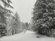 Maltempo: 20 cm di neve a Monesi e 40 nel basso Piemonte, in arrivo vento e calo delle temperature