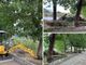 Taggia, bloccati i lavori di abbattimento degli alberi lungo il torrente: cantiere fermo fino a fine agosto (Foto e video)