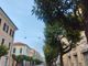 Aranci malati in consiglio comunale a Diano Marina, il vicesindaco Manitta : “Si sta valutando l’endoterapia senza utilizzare prodotti chimici”  (foto)