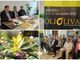 Imperia, tutto pronto per Olioliva 2022: &quot;Il cibo e la buona tavola diventano motivo di cultura, scambio e promozione turistica&quot; (foto e video)