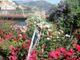 Ventimiglia, cura gratis per 20 anni un giardino con fiori e papere: il giardiniere del Roya finisce a processo