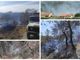 Spento l’incendio di Cantalupo, paura tra gli abitanti della frazione di Imperia (foto)