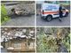 Diano Marina, moria di volatili nel torrente Evigno: recuperate 12 carcasse, indagine dell’Asl (foto)
