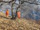 Incendio ad Alpicella, proseguono le operazioni di spegnimento: canadair ed elicotteri al lavoro