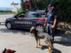 Alassio, beccato con 18 dosi di cocaina davanti ad una discoteca: disposto l'obbligo di firma