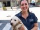 Sei cani soccorsi in un'abitazione a Savona dopo una segnalazione: intervento della polizia locale e del servizio veterinario Sei cani soccorsi in un'abitazione a Savona dopo una segnalazione: intervento della polizia locale e del servizio veterinario