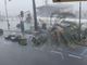 Temporale sulla costa savonese: ad Albenga abbattuta una palma, esondazioni sparse (FOTO e VIDEO)