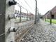 Ultima domenica di gennaio: gli eventi in provincia di Savona (PROGRAMMA)