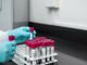 Coronavirus, in Liguria 196 positivi nelle ultime 24 ore: 56 nel savonese
