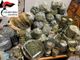 Ubriaco in strada, i carabinieri lo accompagnano a casa e scoprono 8 kg di marijuana: arrestato un 62enne di Altare