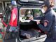 Cane muore dopo essere stato lasciato in auto al sole: indagano i carabinieri forestali