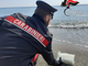 La droga arriva dal mare, i carabinieri recuperano 1 kg di cocaina sulla spiaggia di Albissola