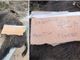 Sassello, carcassa di cinghiale a bordo strada: il cartello choc &quot;Negativo PSA - Positivo Piombo&quot; (FOTO e VIDEO)