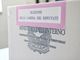 Election day: nel savonese oltre 215mila i cittadini che hanno diritto al voto: in tutta la Liguria sono di più le donne