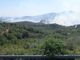Incendio nell'albenganese: continuano i lanci aerei, sul posto due elicotteri e un canadair
