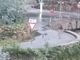 Branco di lupi a Tovo San Giacomo nella zona di Cà di Giurni (VIDEO)