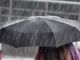 Maltempo, frane e allagamenti nell'albenganese, numerose persone evacuate. Treni in tilt