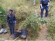 Piantagione di marijuana nei boschi di Erli: sequestrate dai Carabinieri Forestali 20 piante di cannabis