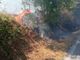 Incendio sulla Sp11 a Plodio: intervento della protezione civile e dei vigili del fuoco (FOTO)