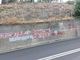 &quot;Omettere i danni da vaccino è criminale&quot;. A Savona tornano le scritte no vax sui muri di via Valloria (FOTO)