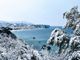 E' la neve a dare il buongiorno alla provincia di Savona. La dama bianca è arrivata anche sulla costa (FOTO)