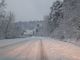 Il carico di neve mette a rischio la tenuta di diversi alberi: chiusa nella notte la Sp334
