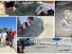 Un altro caso di tartaruga sul litorale del ponente savonese: la Caretta caretta torna a Finale