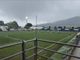 Calcio, Albenga. La Guardia di Finanza all'Annibale Riva, controlli effettuati sul club bianconero