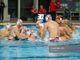 Pallanuoto, Champions League: show della Rari a Oradea, i biancorossi dominano e vincono 17-11