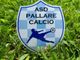 Calcio, Pallare. Massimo Brignone non è più il tecnico dei valbormidesi