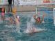Pallanuoto, Serie A1 maschile. BPER Rari Nantes Savona alla prova Bogliasco Pallanuoto, Serie A1 maschile. BPER Rari Nantes Savona alla prova Bogliasco