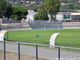 Gestione stadio Bacigalupo, proroga del Comune per ulteriori due anni alla Polisportiva Savona