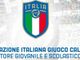 Calcio giovanile. In provincia di Savona è boom di Scuole Calcio Elite