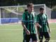 Calcio, Serie D. Domenica in solitaria per Gozzano e Castellanzese