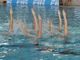 Sincro. La RN Savona gioca in casa, il 25 maggio scattano alla Zanelli i Campionati Estivi Juniores