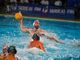 Pallanuoto. La RN Savona batte l'Anzio ed è in semifinale di Coppa Italia, domani il derby con la Pro Recco