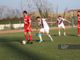 Calcio, Serie D. Pomeriggio da leoni con Vado - Ligorna e Albenga - Varese. La Sanremese farà visita alla capolista Alcione