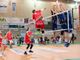Volley maschile A3 - Cuneo cade contro Prata di Pordenone, Serniotti ammette: &quot;In questo momento ci sono superiori&quot;